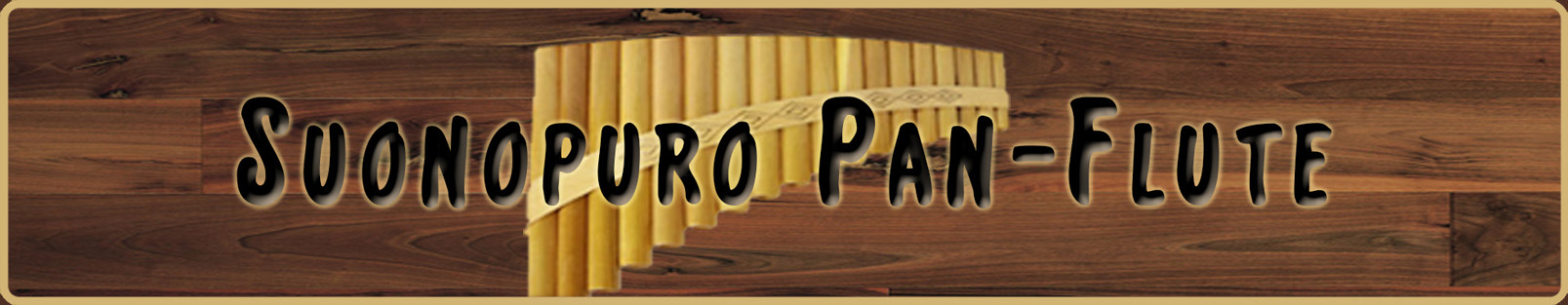 Suonopuro Recorder Banner