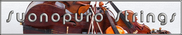 Suonopuro Strings Banner