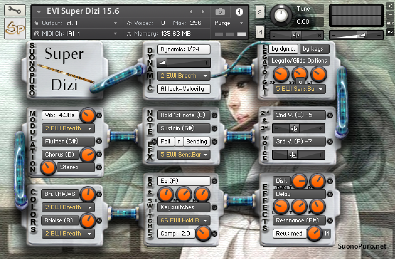 Virtual Dizi for Kontakt