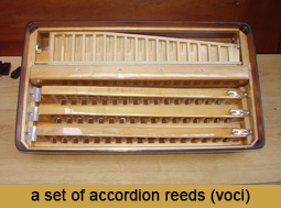 A set of accordion reeds